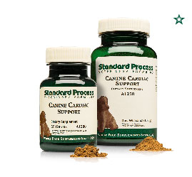 Canine Cardiac Support 25g